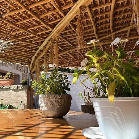 Villa Jasmine Smeralda Cala Bitta